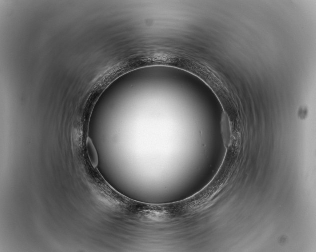 X0000099440552200805161136