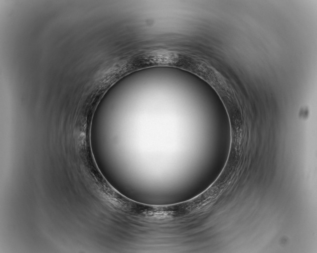 X0000099440553200805161136