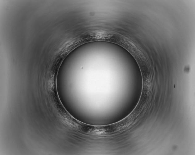 X0000099440554200805161136