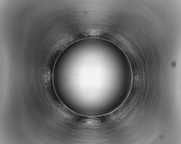 X0000099440555200805161136