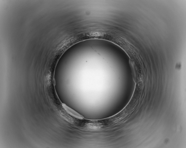 X0000099440556200805161136