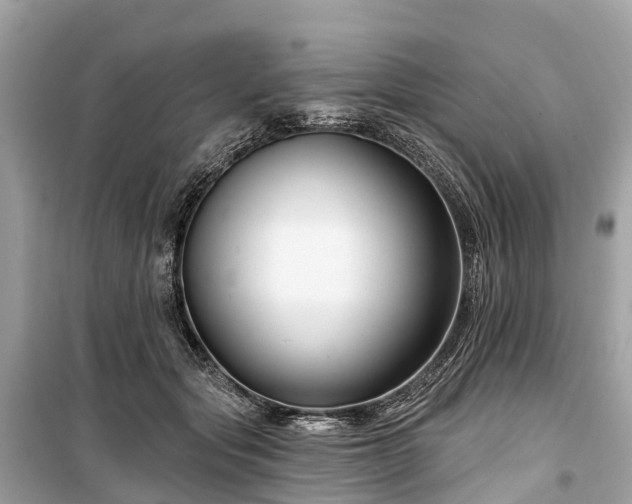 X0000099440557200805161136