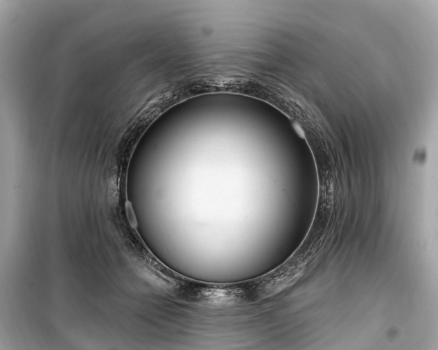 X0000099440558200805161136