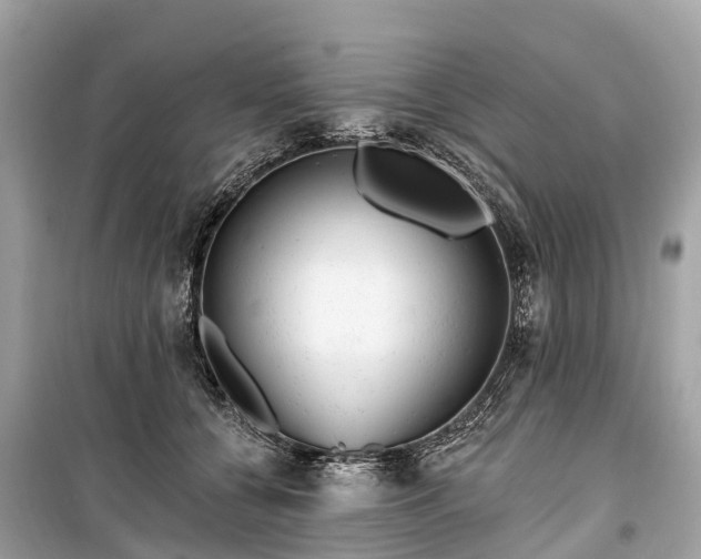 X0000099440560200805161136