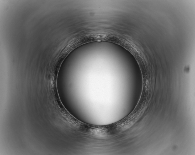 X0000099440561200805161136