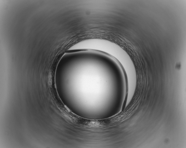 X0000099440562200805161136