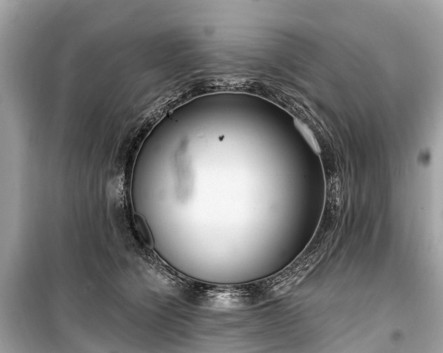 X0000099440564200805161136