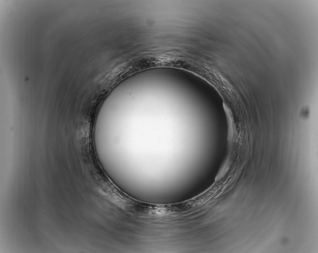 X0000099440565200805161136