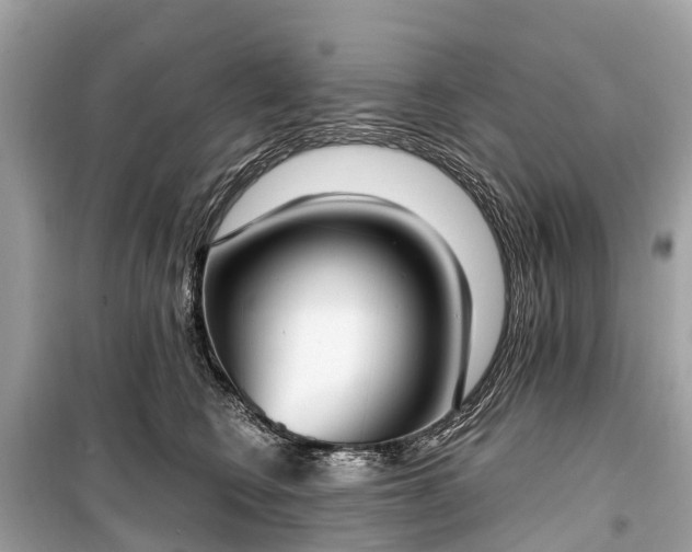 X0000099440566200805161136