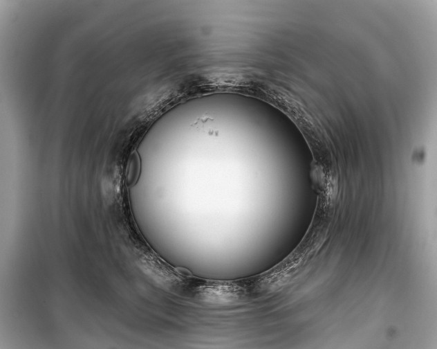 X0000099440567200805161136