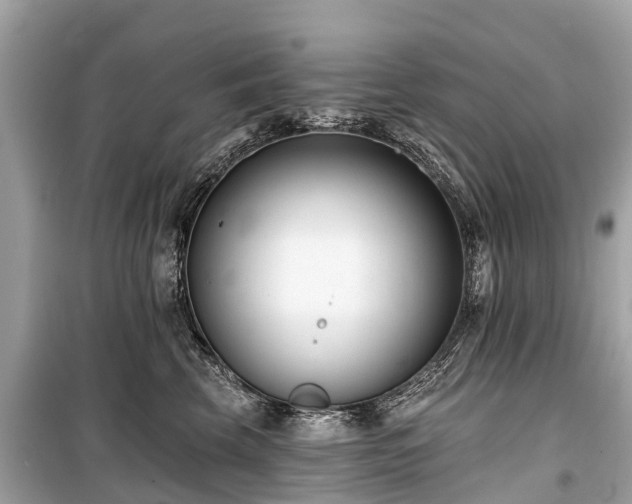 X0000099440569200805161136