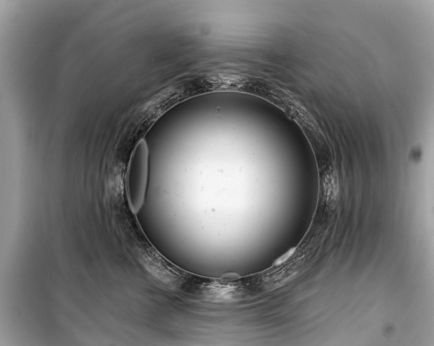 X0000099440570200805161136