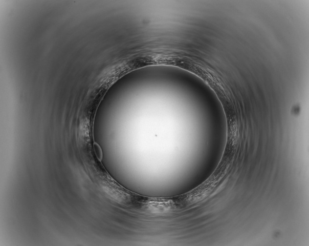 X0000099440571200805161136
