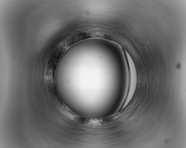 X0000099440573200805161136