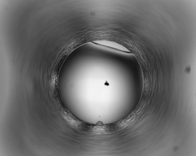 X0000099440574200805161136