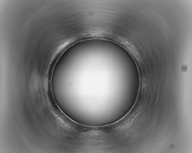 X0000099440578200805161136