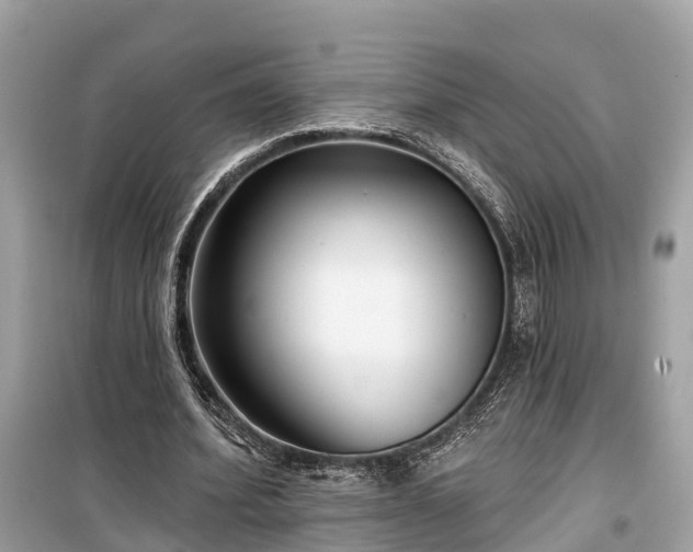 X0000099440580200805161136