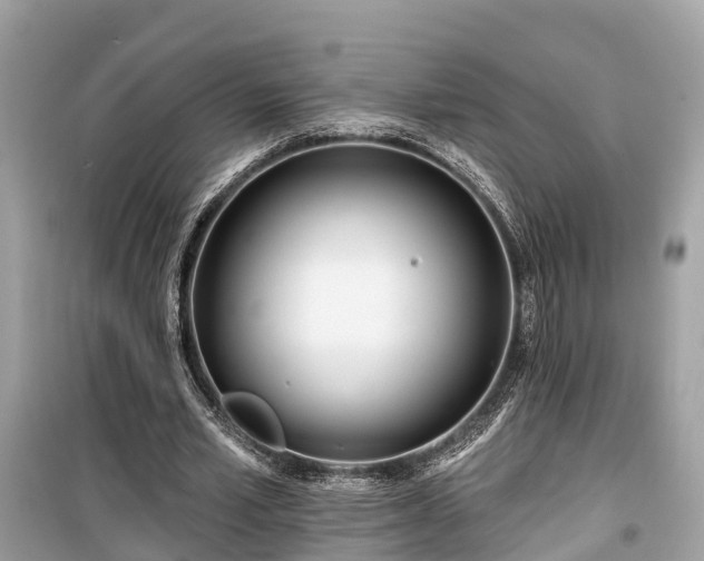 X0000099440581200805161136