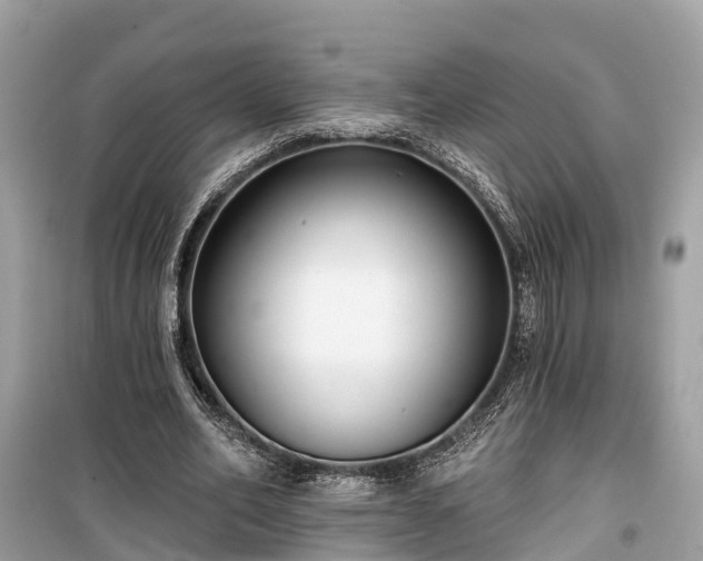 X0000099440582200805161136