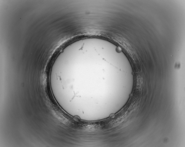 X0000099440584200805161136