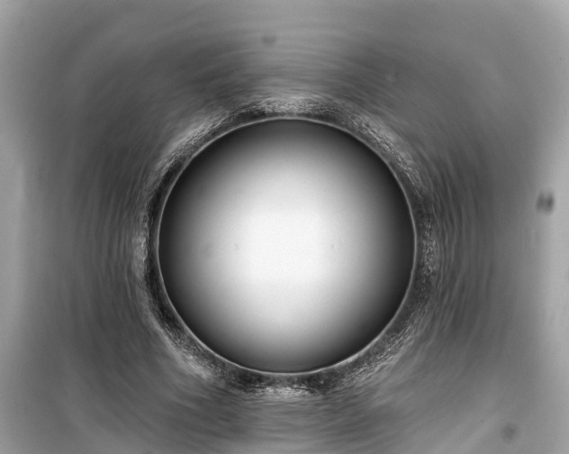 X0000099440586200805161136