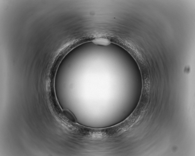 X0000099440587200805161136