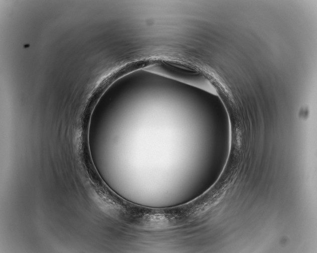 X0000099440588200805161136