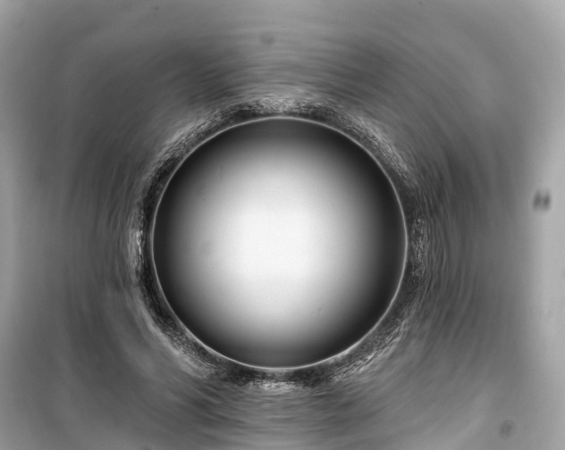 X0000099440590200805161136