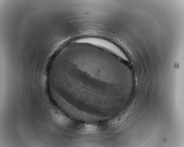 X0000099440592200805161135