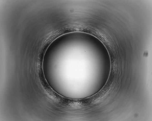 X0000099440594200805161135