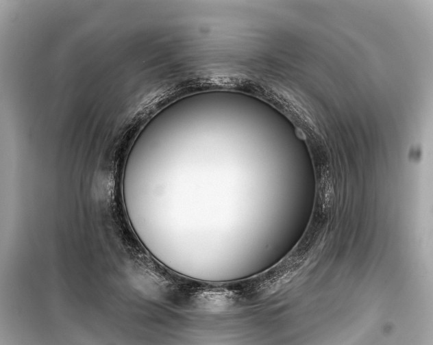 X0000099440595200805161135