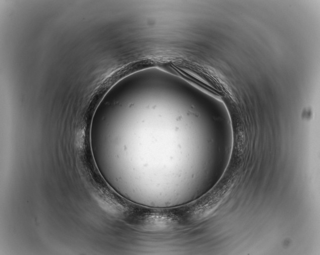 X0000099440596200805161135