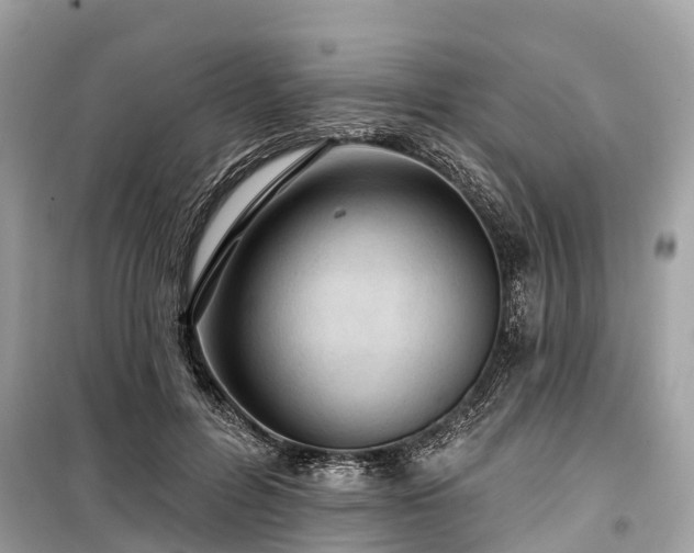 X0000099440600200805161135