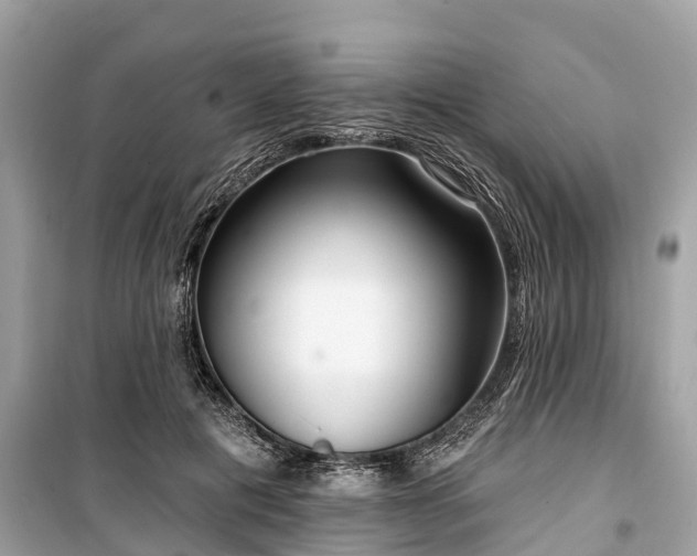 X0000099440601200805161135