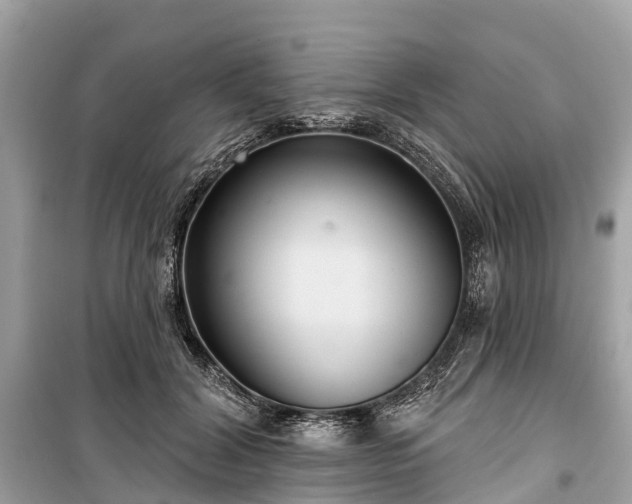 X0000099440604200805161135