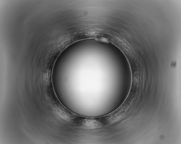X0000099440605200805161135