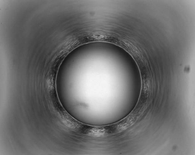 X0000099440606200805161135