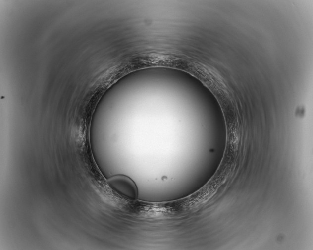 X0000099440607200805161135
