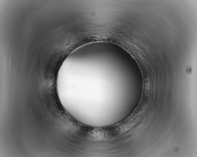 X0000099440608200805161135