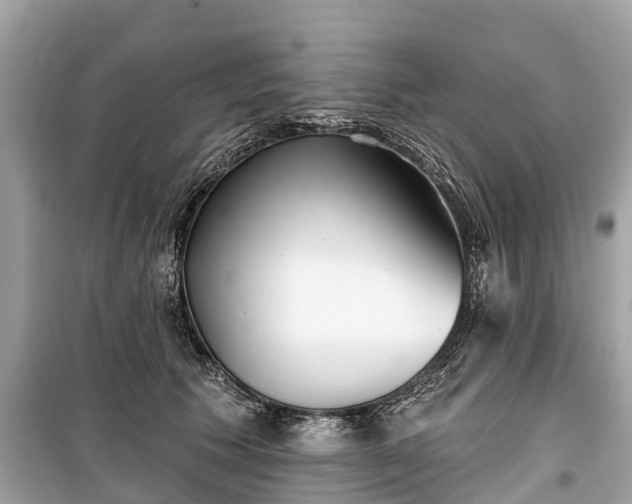 X0000099440609200805161135
