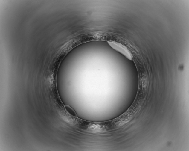X0000099440611200805161135