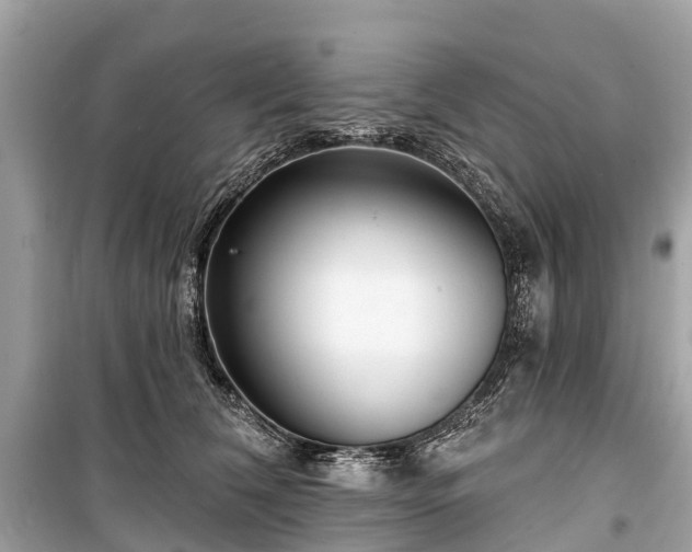 X0000099440612200805161135