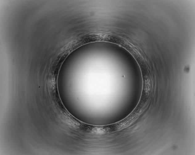X0000099440613200805161135