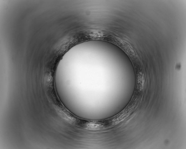 X0000099440614200805161135