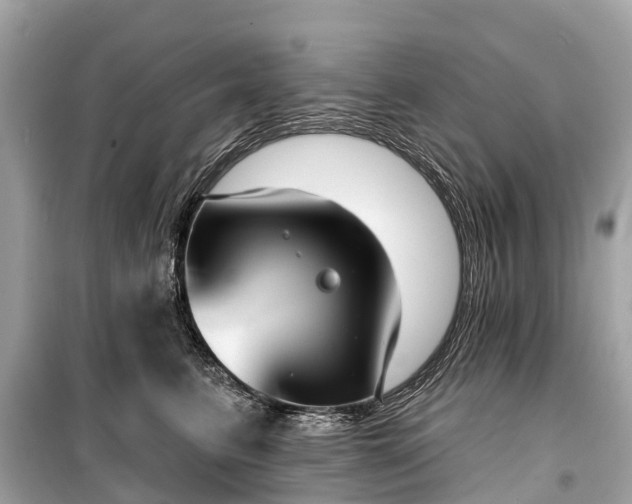 X0000099440615200805161135