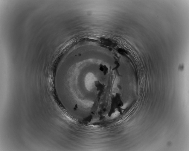 X0000099440616200805161135