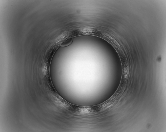 X0000099440618200805161135