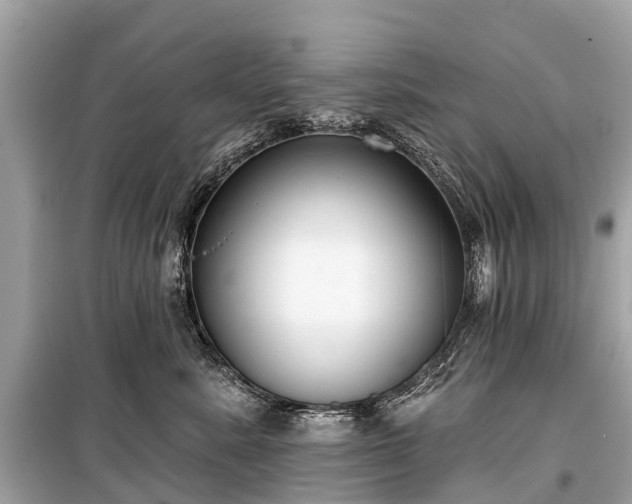 X0000099440619200805161135