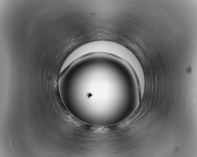 X0000099440621200805161135