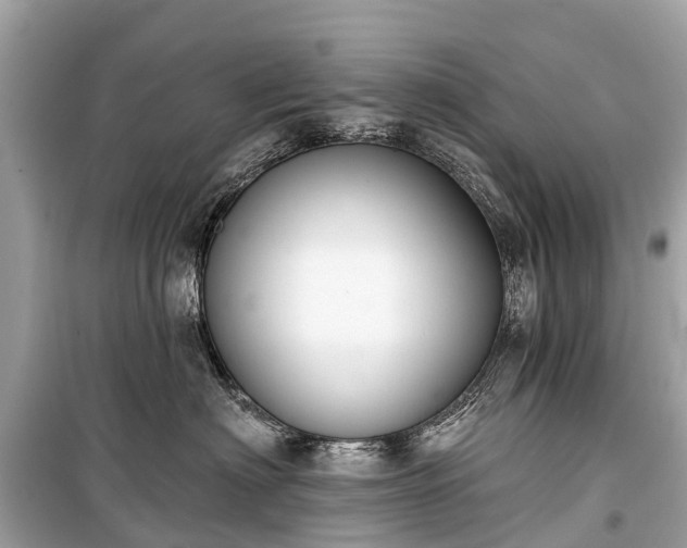 X0000099440622200805161135